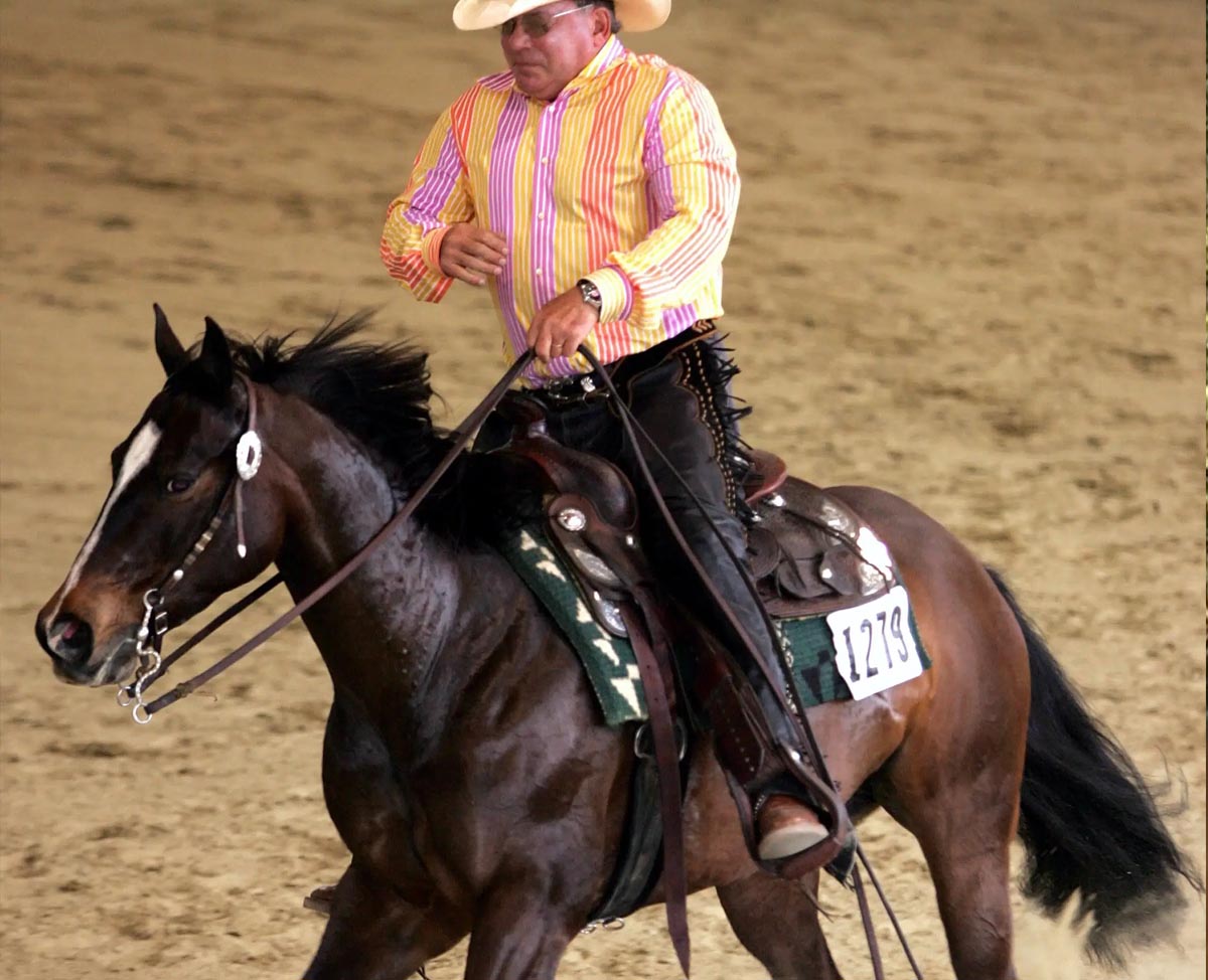 William Shatner - Western Rider